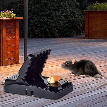 Mouse Catcher